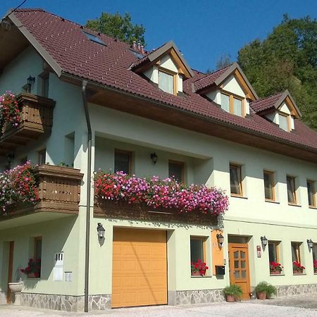 Apartmaji Hribar Pr'Ostank Kamnik Buitenkant foto