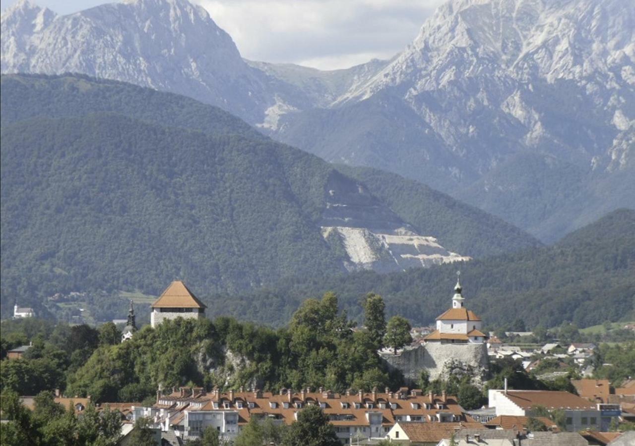 Apartmaji Hribar Pr'Ostank Appartement Kamnik Buitenkant foto