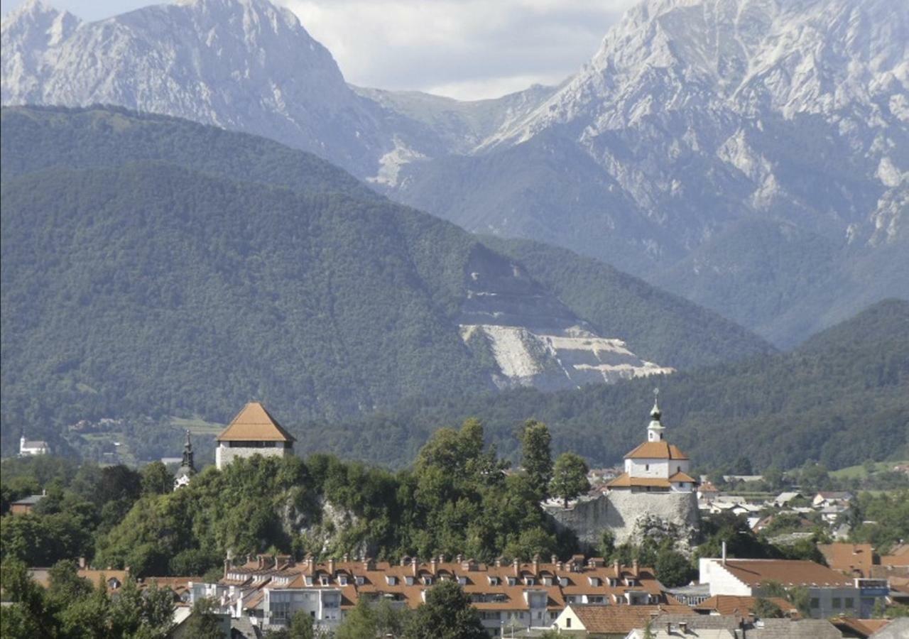 Apartmaji Hribar Pr'Ostank Kamnik Buitenkant foto