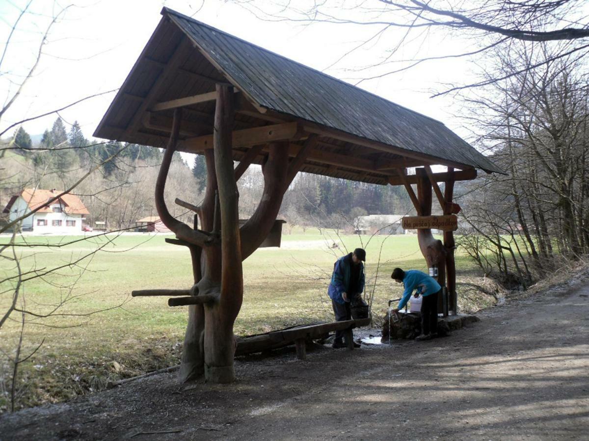 Apartmaji Hribar Pr'Ostank Kamnik Buitenkant foto