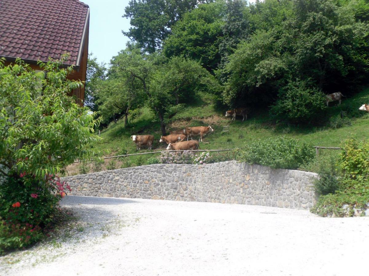 Apartmaji Hribar Pr'Ostank Kamnik Buitenkant foto
