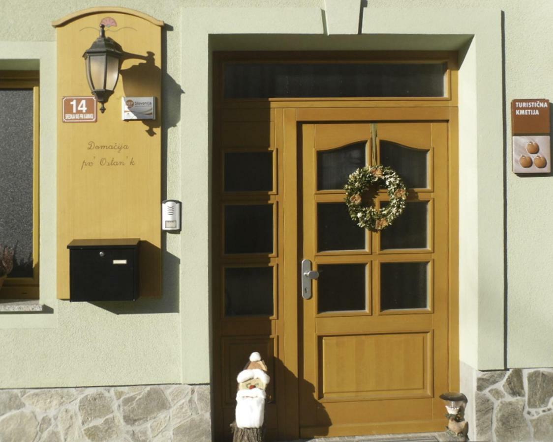 Apartmaji Hribar Pr'Ostank Kamnik Buitenkant foto